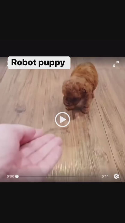 Robot Valp (Hund)